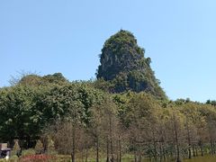 -南宁花花大世界景区