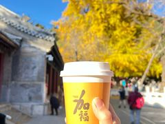 -潭柘寺景区