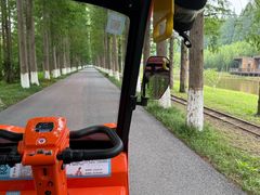 -黄海国家森林公园