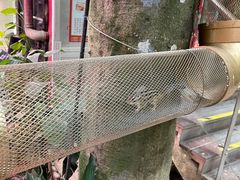 -正佳雨林生态植物园