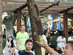 -西湖外事游船(湖滨二公园外事游船码头)