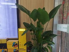 -上海仁爱医院口腔科 · 种植