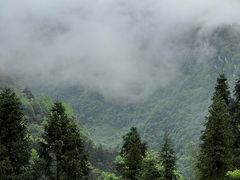 -山王坪喀斯特国家生态公园