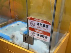 -狗道宠物(常熟印象城店)