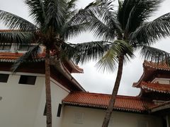-海口市博物馆