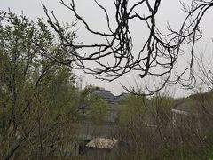 -莲花池公园