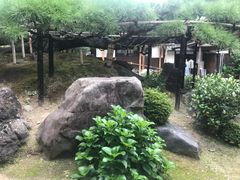 -中村藤吉(本店)
