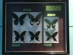 -上海昆虫博物馆