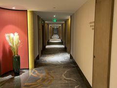 -西安唐皇城墙含光门遗址博物馆