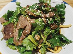 香菜拌牛肉-董厨煨汤馆(车站路店)