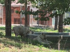 -秦皇岛野生动物园