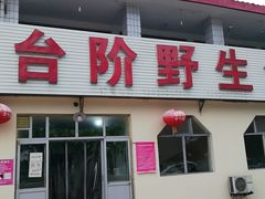 门面-金台阶鱼馆(于桥水库店)