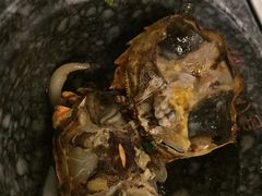 -海岛八号龙虾烧烤田鸡(蓝天路总店)