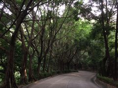-南沙天后宫景区