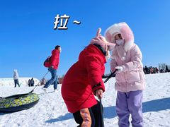-绿野森林乐园冰雪季