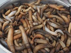 沙虫-四川小胡子海鲜(丁村万人海鲜广场店)