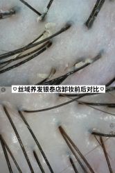 -丝域养发馆