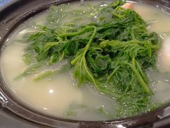 咸骨桑叶菜-广州酒家(昌岗地铁站店)