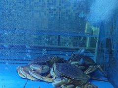 -红顶食府(滨湖九号店)