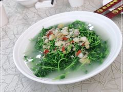 -轩记海鲜餐厅·四十五年老字号·经典粤菜(西区彩虹店)