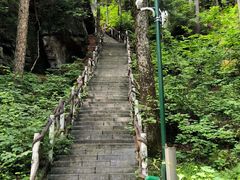 -汤旺河林海奇石景区