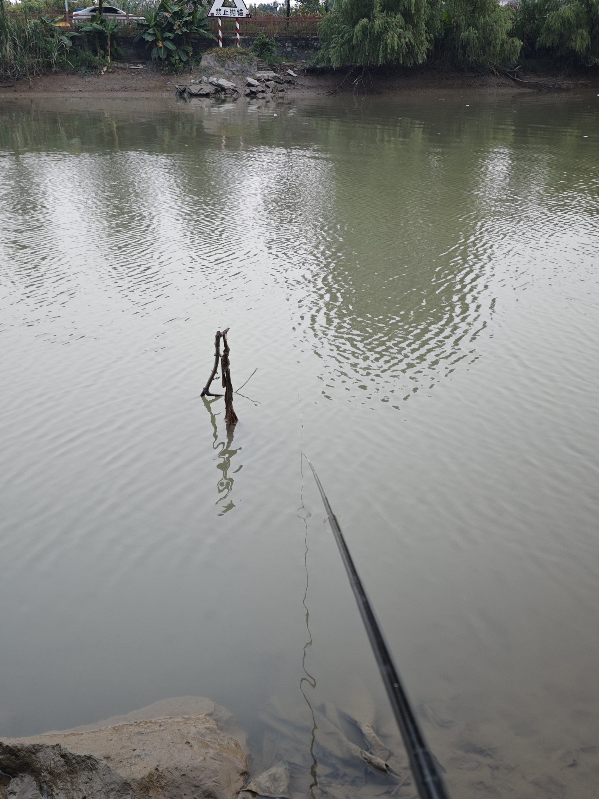 虽然钓的不多,但我也不吃鱼啊
#钓鱼的乐趣只有钓鱼人懂#0元玩转这