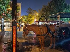 -天津五大道文化旅游区