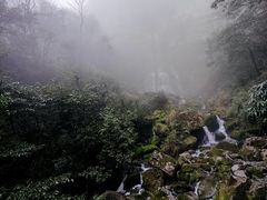 -鹿院坪生态旅游景区