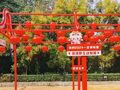 -深圳野生动物园