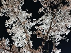 -南京金陵饭店