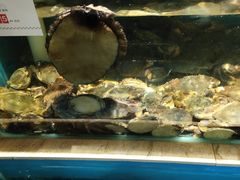 -福娣·金沙银贝海鲜火锅