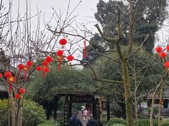-峨眉山报国寺