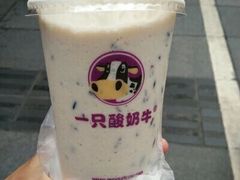 -一只酸奶牛(八一路店)