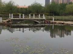 -前关湿地公园