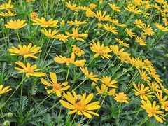 -大龙山(地铁站)