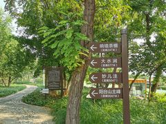 -阳台山自然风景区