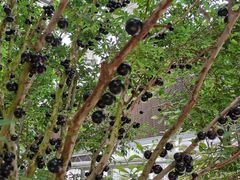 -南通洲际绿博园