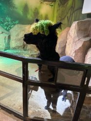 -酷嗒动物文化乐园(cutezoo西溪乐天城店)