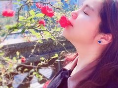 -百林公园-两江幸福广场