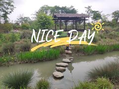 -柳鹭田园区