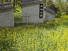 -北坞公园