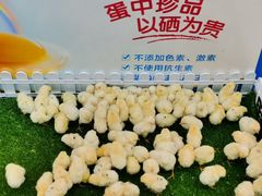 -卓锦曼购中心(国香街店)