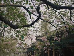 -恭王府博物馆