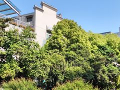 -老门东历史文化街区