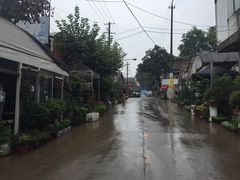-金陵花卉交易市场