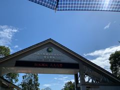 -中国大熊猫保护研究中心雅安碧峰峡基地