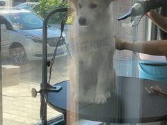 -宠颐生动物医院·心脏科·保险定点(锦阳分院)