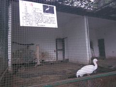 -甘棠公园