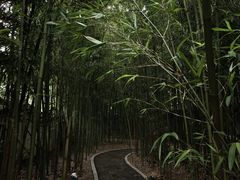 -柳侯公园