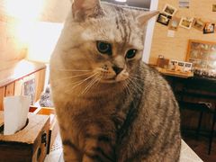 -隅cafe(傅厚岗店)